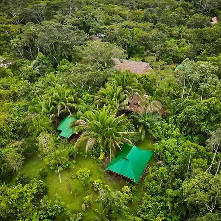 Tronco Tambopata Adventure Hotel Puerto Maldonado Eksteriør billede