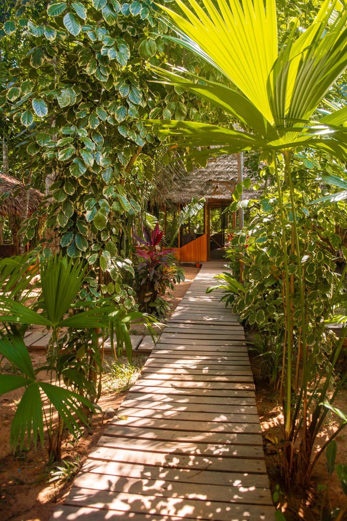 Tronco Tambopata Adventure Hotel Puerto Maldonado Eksteriør billede