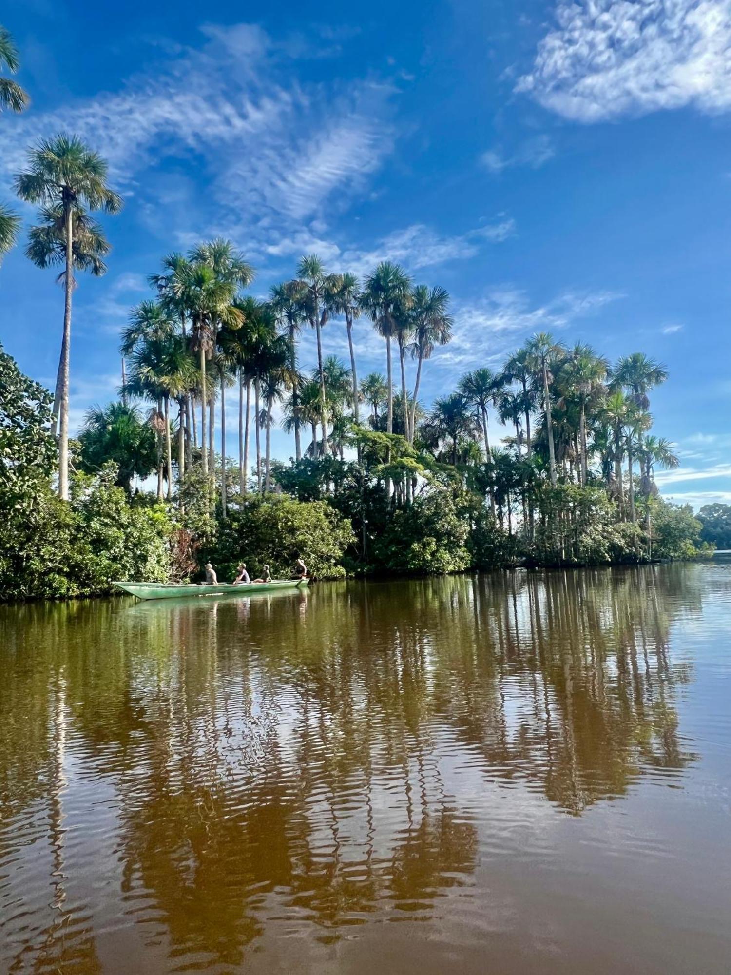 Tronco Tambopata Adventure Hotel Puerto Maldonado Eksteriør billede