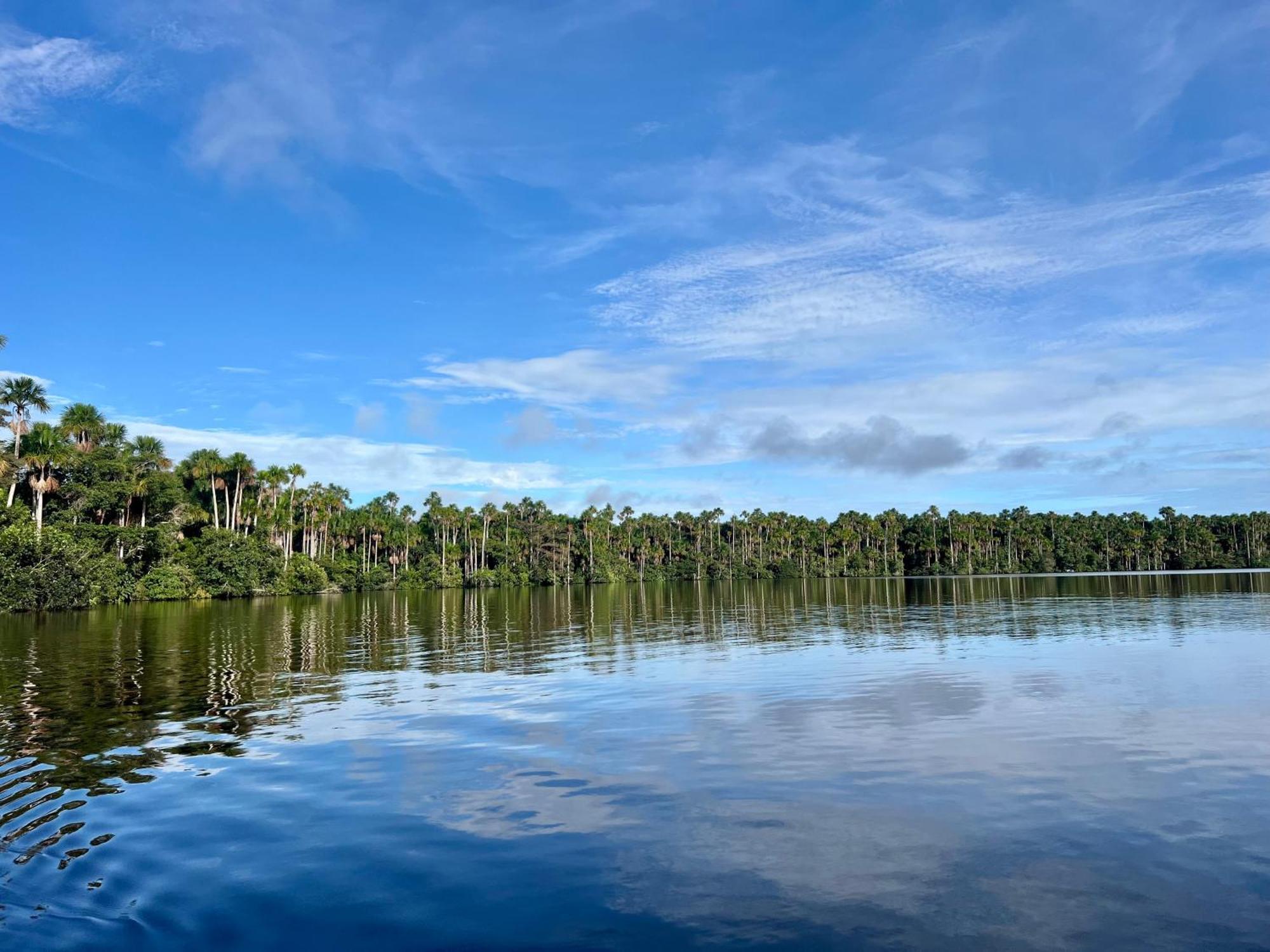 Tronco Tambopata Adventure Hotel Puerto Maldonado Eksteriør billede