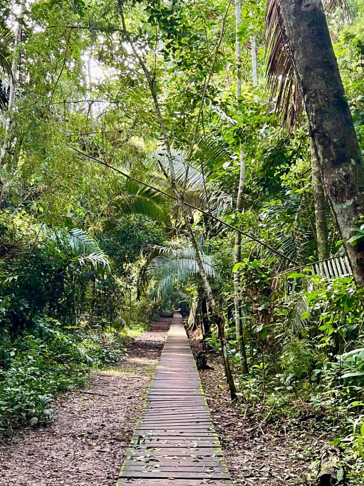 Tronco Tambopata Adventure Hotel Puerto Maldonado Eksteriør billede