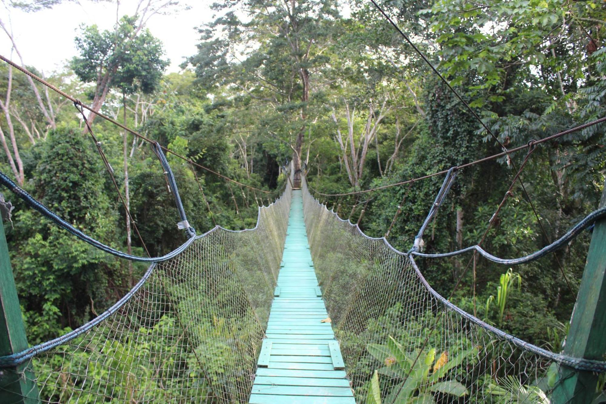 Tronco Tambopata Adventure Hotel Puerto Maldonado Eksteriør billede