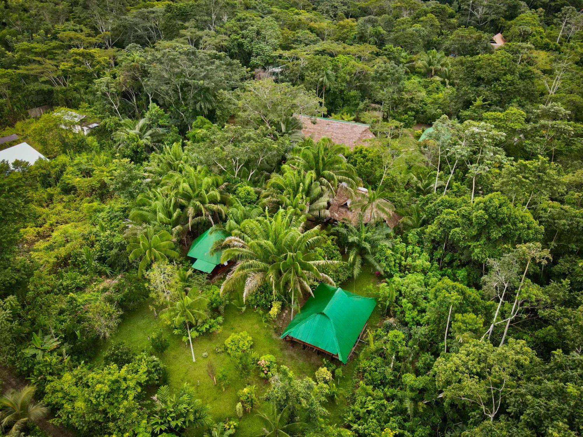 Tronco Tambopata Adventure Hotel Puerto Maldonado Eksteriør billede