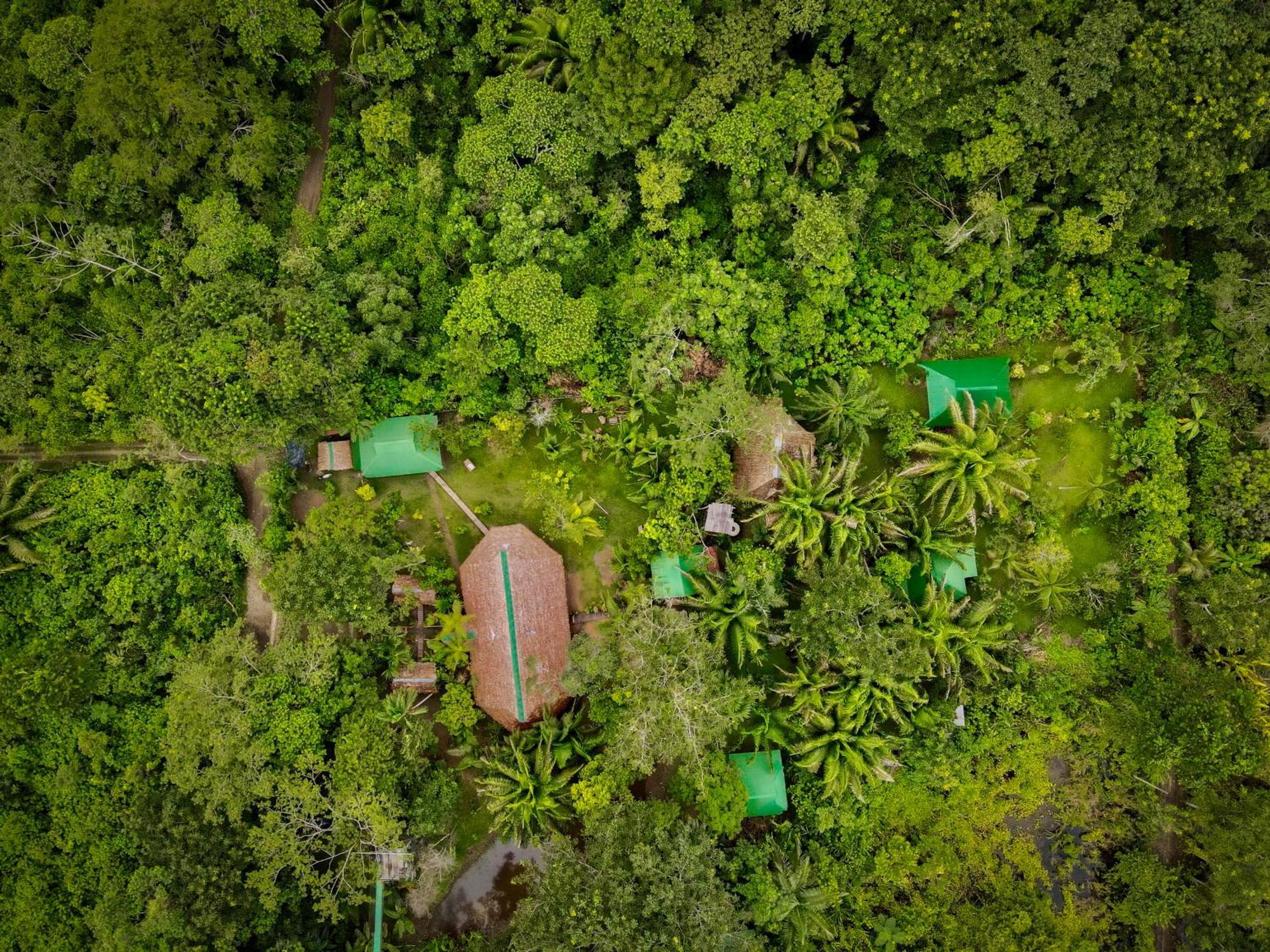Tronco Tambopata Adventure Hotel Puerto Maldonado Eksteriør billede