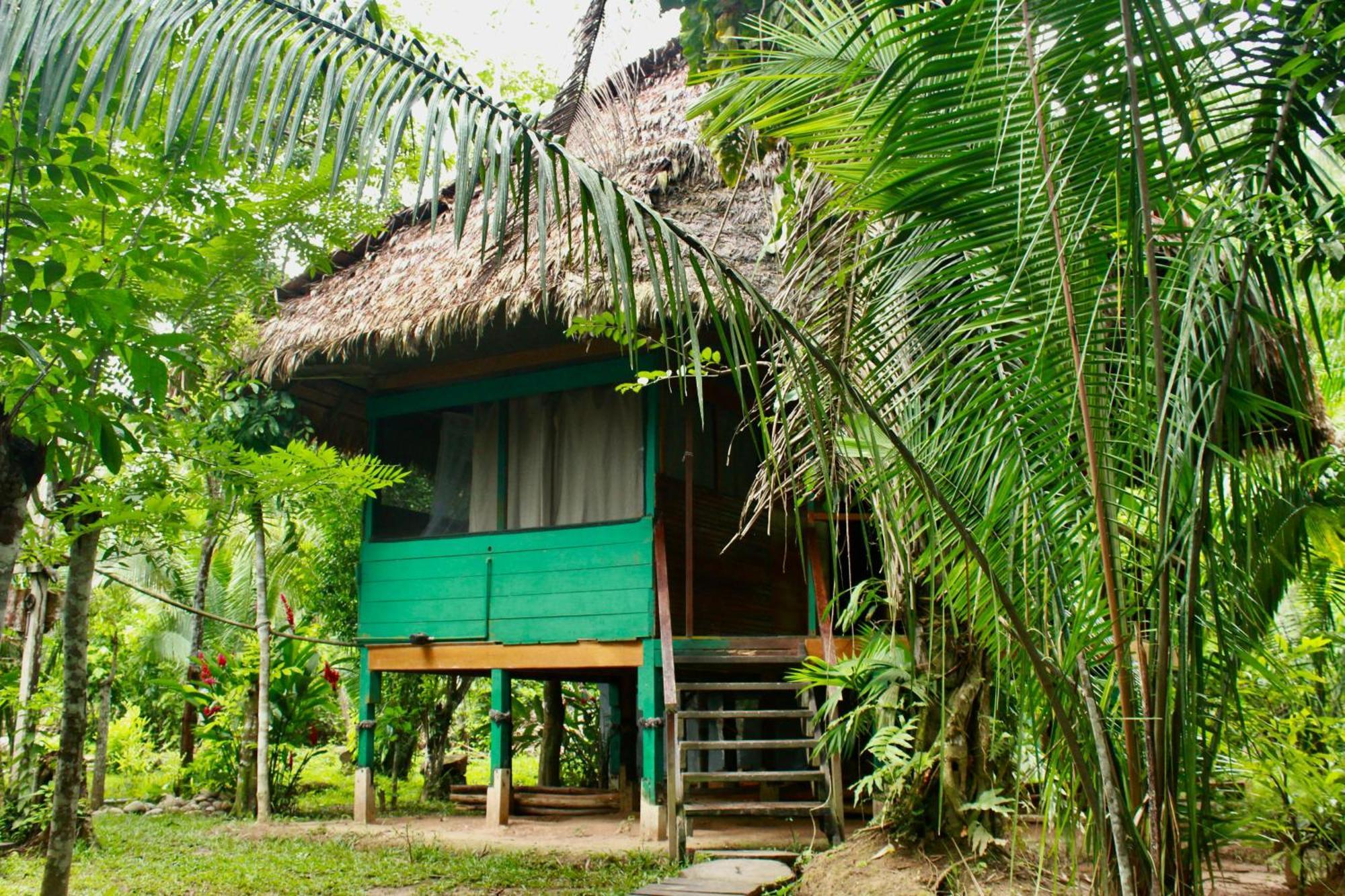 Tronco Tambopata Adventure Hotel Puerto Maldonado Eksteriør billede
